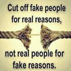 Meet your Posher, Lavelle